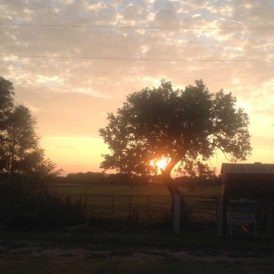 Sunrise, Sunset: A Love Story! Image